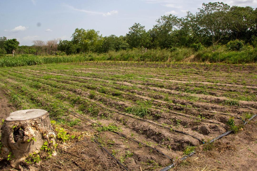 Aquafarm photo 1
