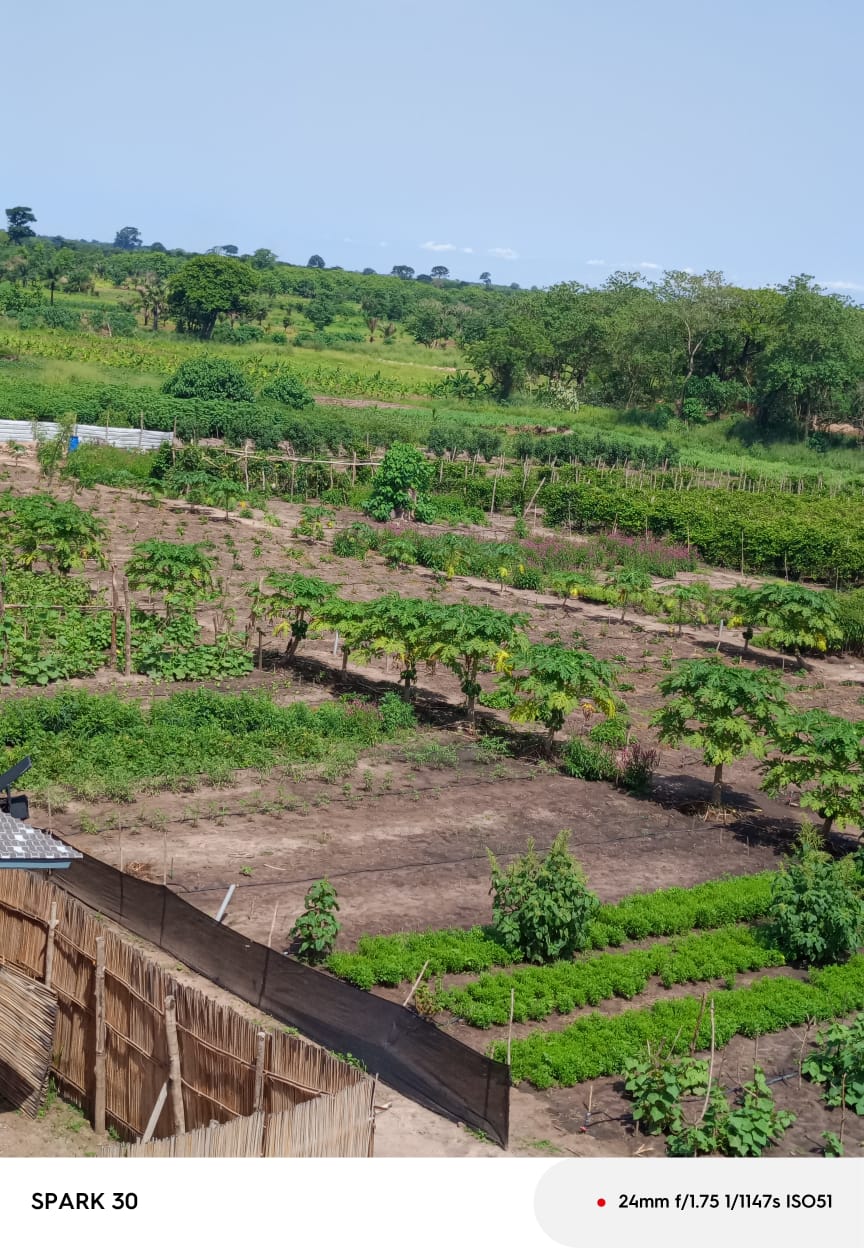 Aquafarm photo 4
